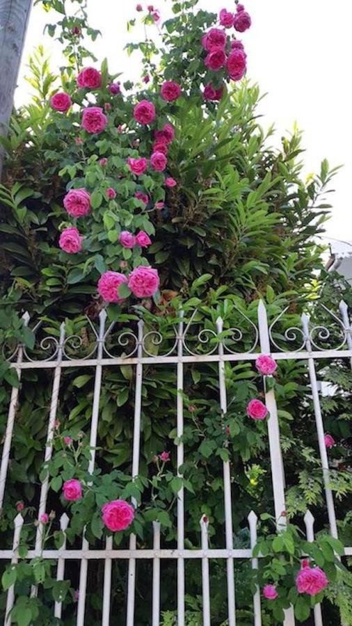 Doux Cocon De 50 M2 Paris-Le Raincy Apartment Exterior foto